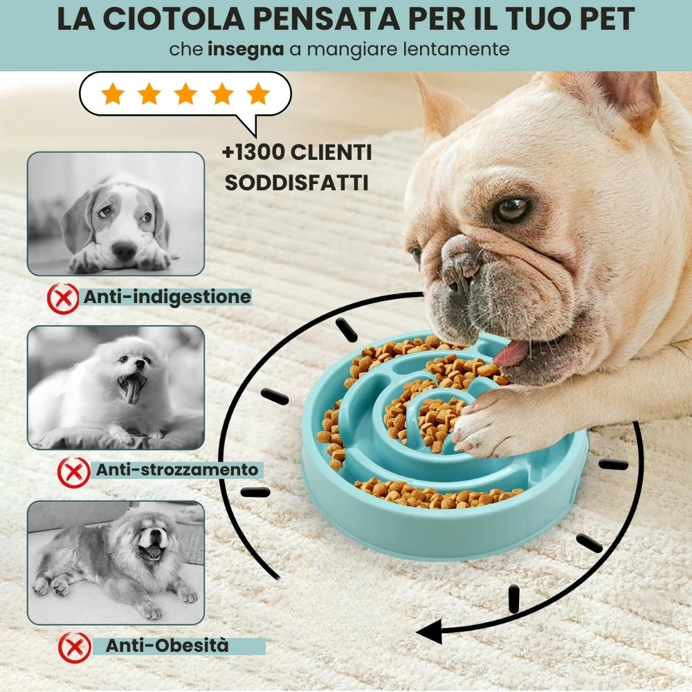 Ciotola Anti-Ingozzamento per Cani Voraci