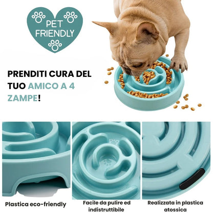 Ciotola Anti-Ingozzamento per Cani Voraci