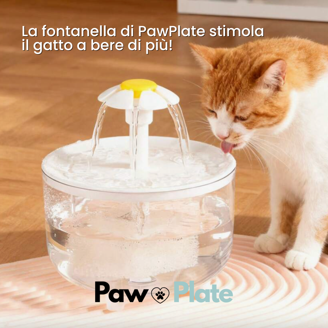 Fontanella per gatti PawPlate