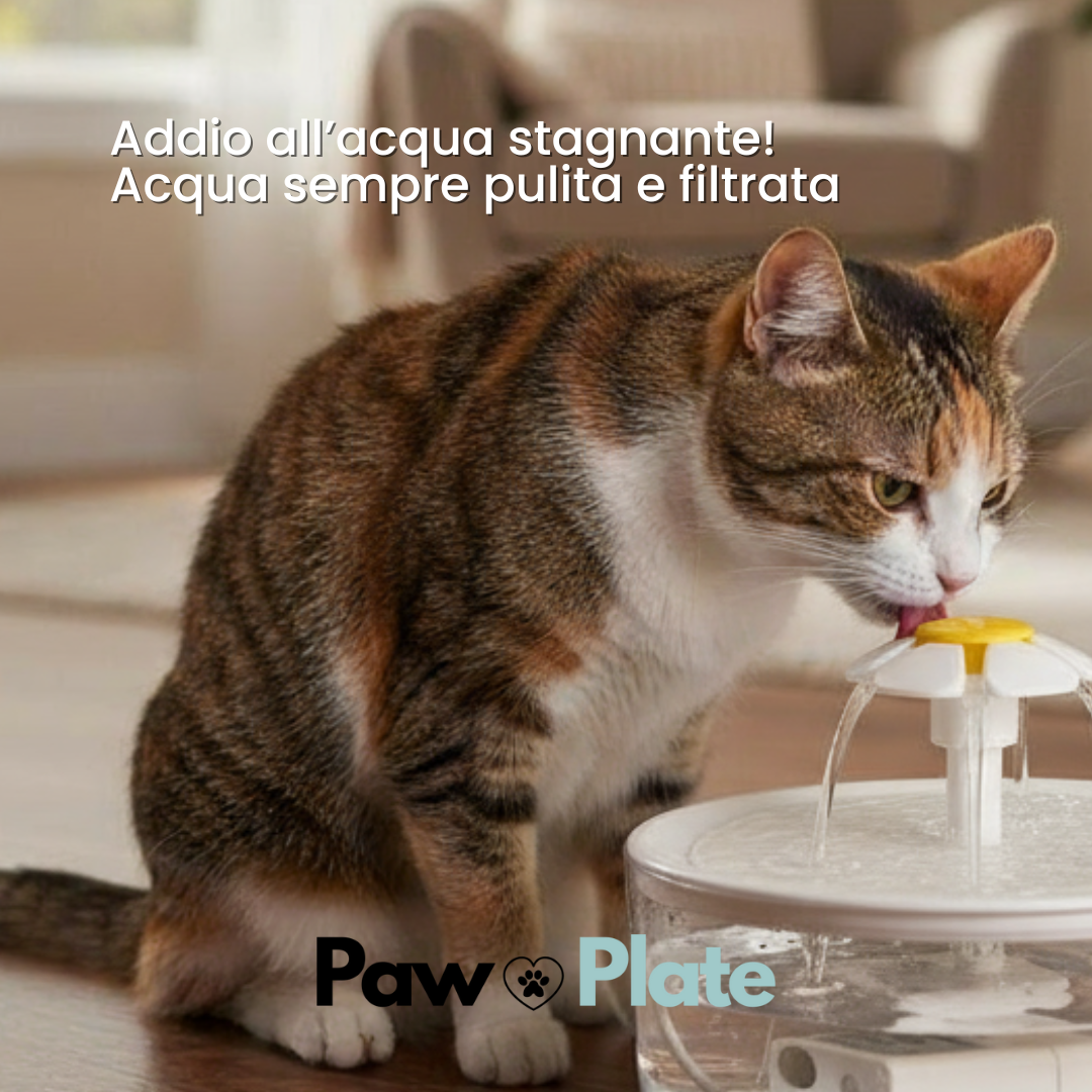 Fontanella per gatti PawPlate