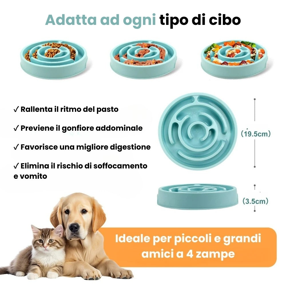 Ciotola Anti-Ingozzamento per Cani Voraci