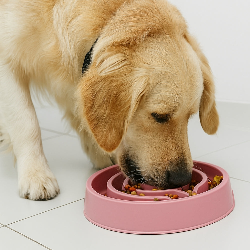 Ciotola Anti-Ingozzamento per Cani Voraci